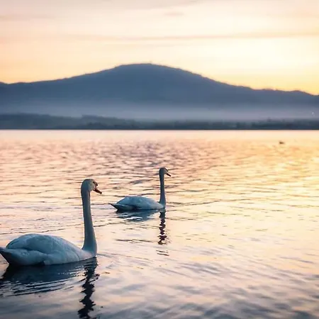 Domki Nad Jeziorem-Wodnik 1 Zarzecze  Exteriér fotografie