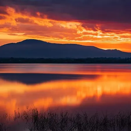 Domki Nad Jeziorem-Wodnik 1 Zarzecze  Exteriér fotografie